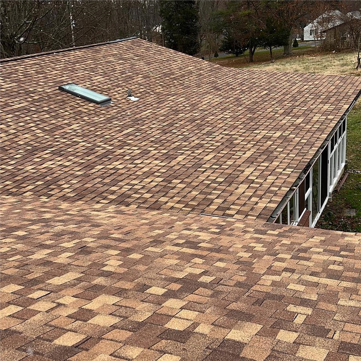 Shingle Roof