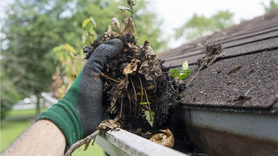 Gutters - Gutter Cleaning Photo 1