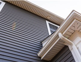 Siding Photo 6