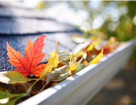 Gutters - Gutter Cleaning Photo 2