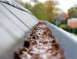 Gutters - Gutter Cleaning Photo 3