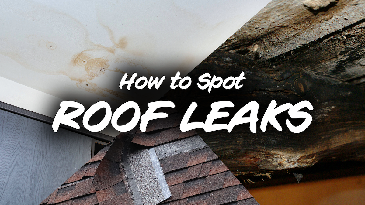 How to Spot a Roof Leak