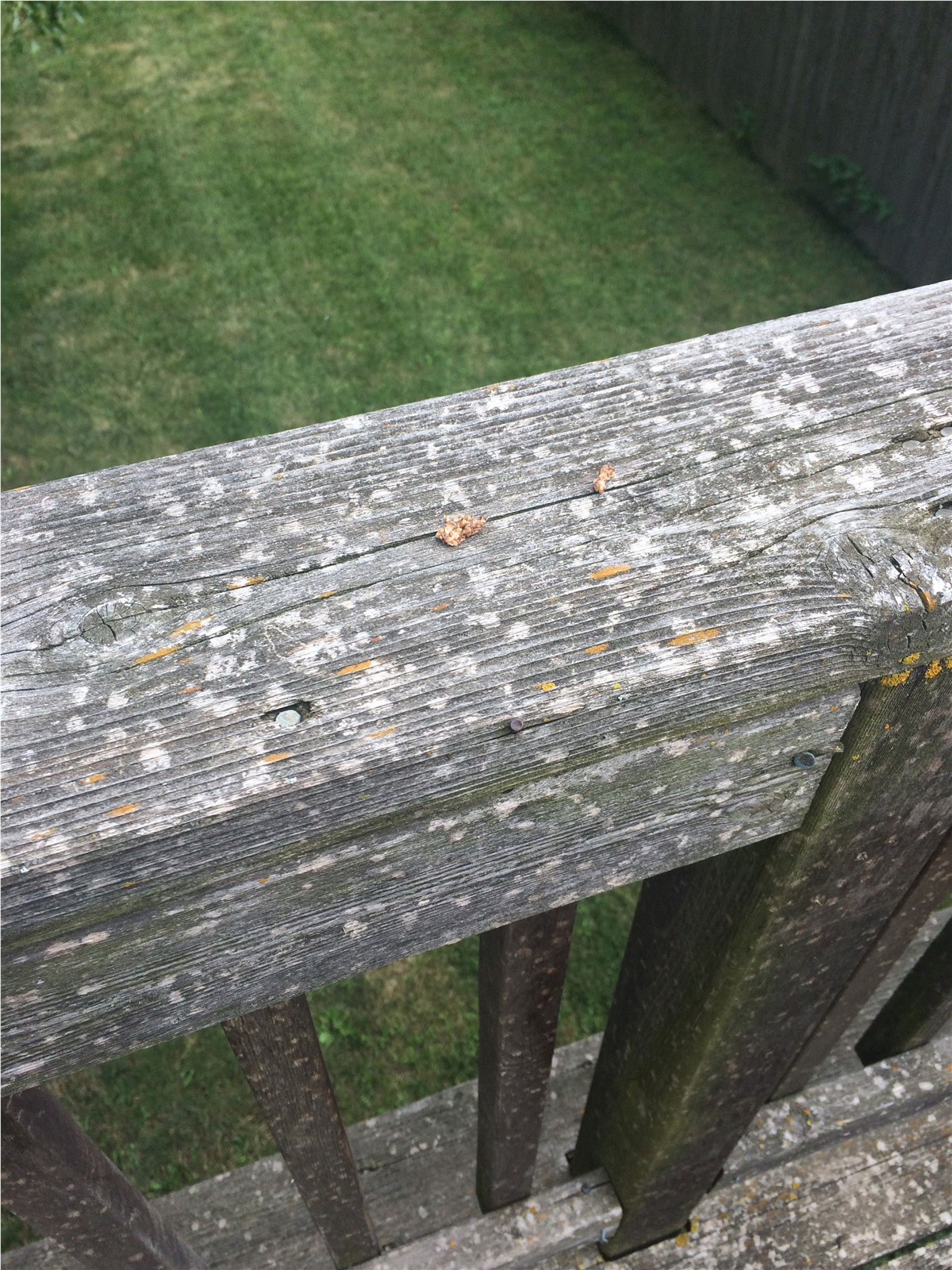 splotches in deck and railing is hail damage