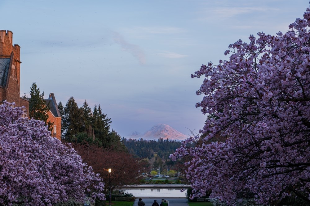 April Showers: 5 Ways to Protect Your Roof from Heavy Rain