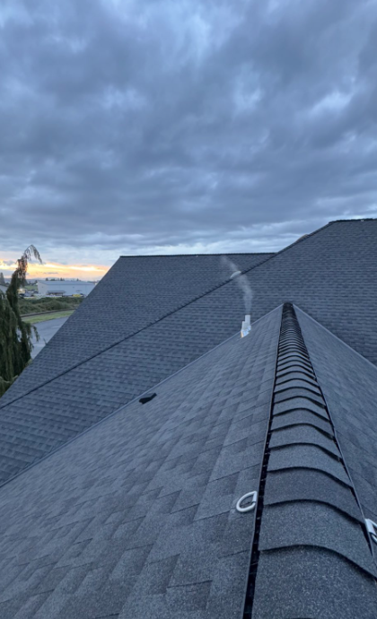 Roofing Types that Hold Up Best in Rainy Northwest Washington