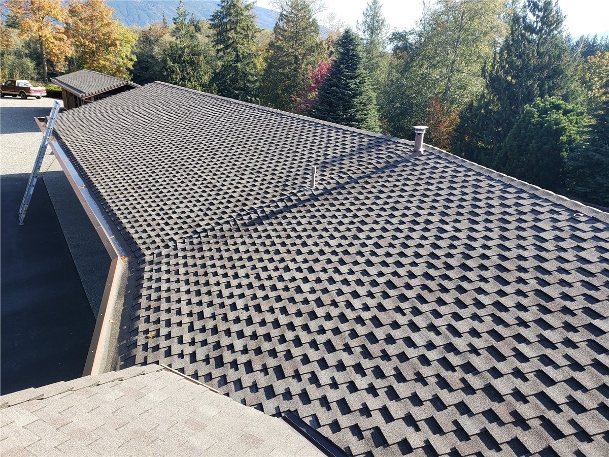 An asphalt roof in the middle of a forest with autumn leaves on the tree.