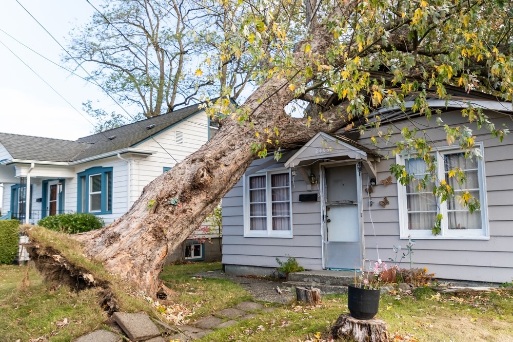 How Wind Damage Can Impact the Integrity of Your Roof 