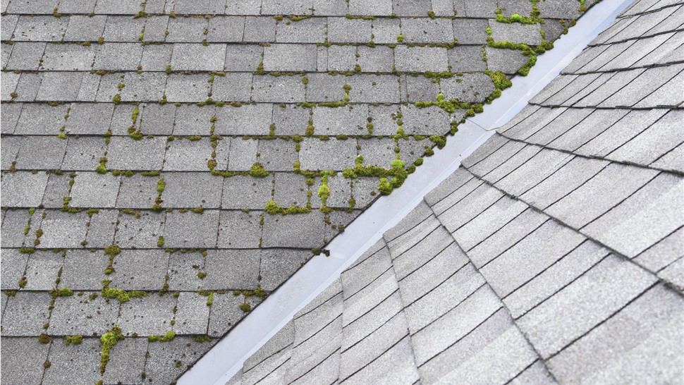 Roofing Cleanings Photo 1