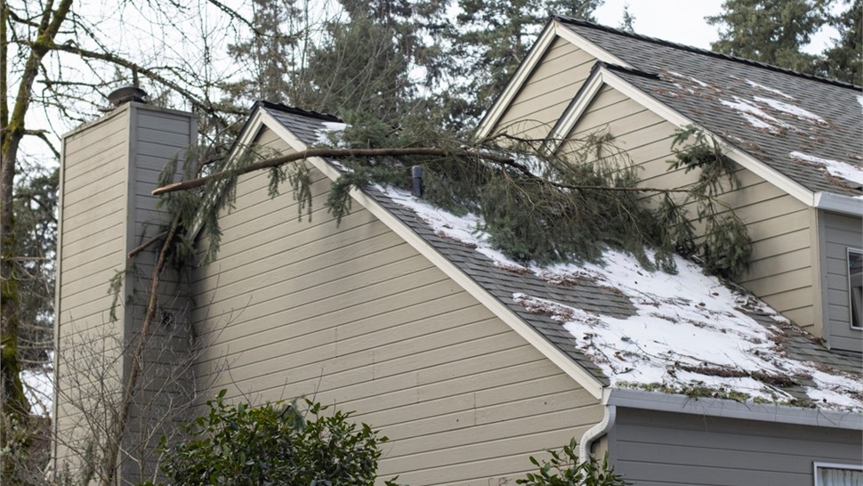 Storm Restoration Photo 38