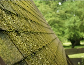 Roofing Cleanings Photo 3
