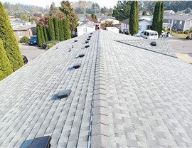 Roofing Photo 4