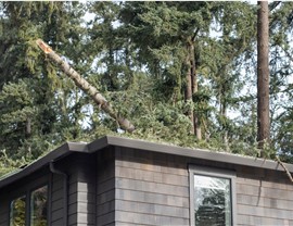 Roofing Cleanings Photo 4