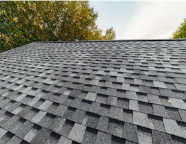 Roof Replacement Photo 3