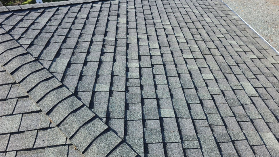 Architectural shingle roof detail in Oak Harbor WA