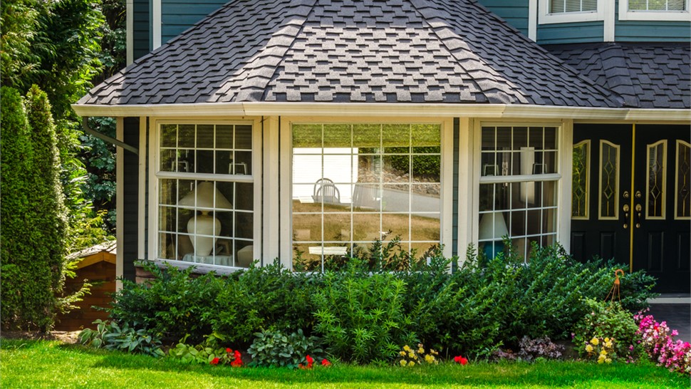 Window Types Photo 14