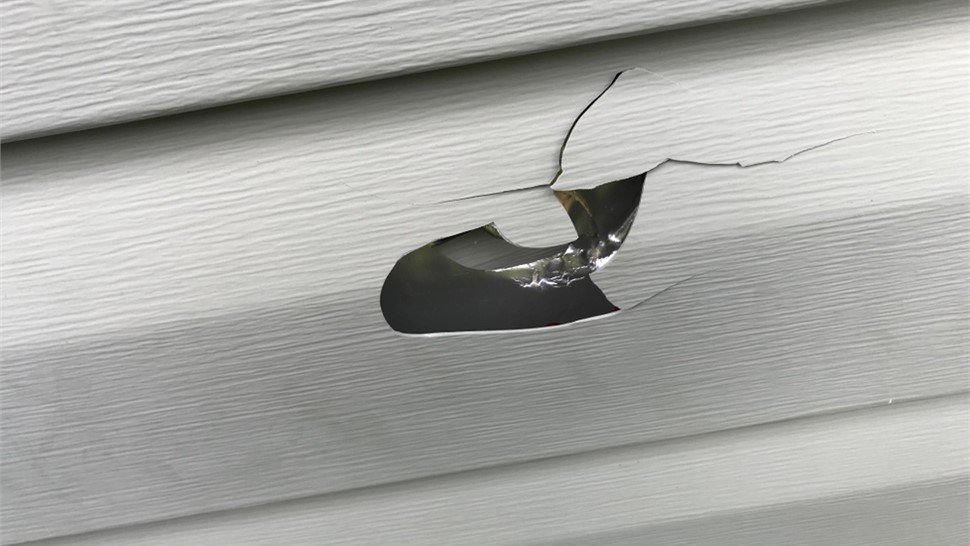 Siding Damage Photo 56