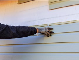 Siding Damage Photo 84