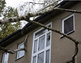 Window Damage Photo 18