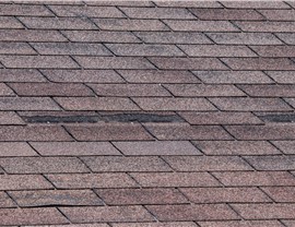 Roof Wind Damage Photo 64