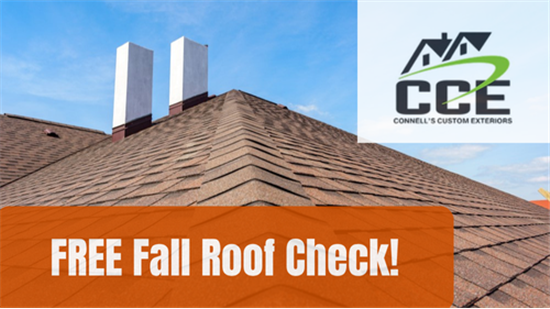 Free Fall and Spring Roof Check! 