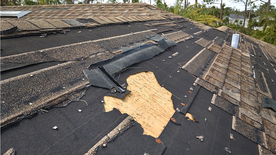 Storm Damage - Hurricane Damage Photo 1