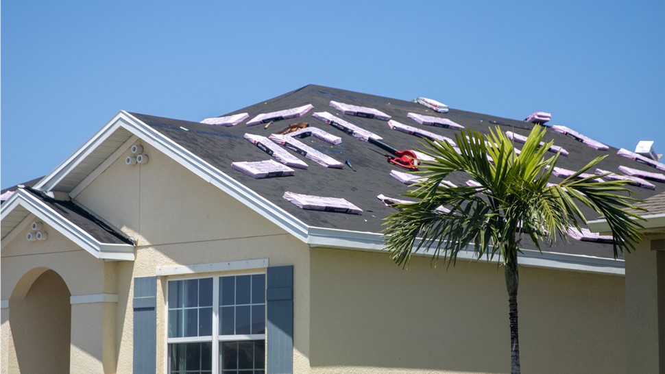Storm Damage Photo 1