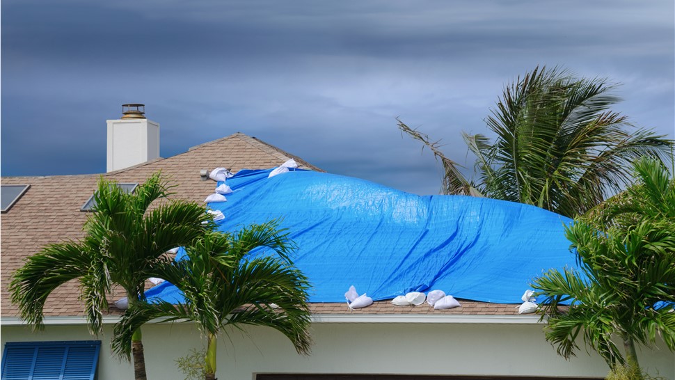 Storm Damage Photo 3
