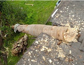 Storm Damage - Wind Damage Photo 4