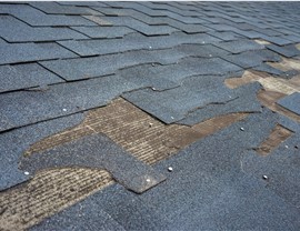 Storm Damage Photo 2