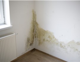 Storm Damage - Water Damage Photo 3