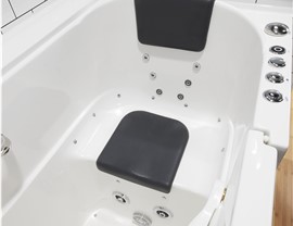 Bathrooms - Walk-In Tubs Photo 3