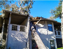 Storm Damage - Hurricane Damage Photo 4