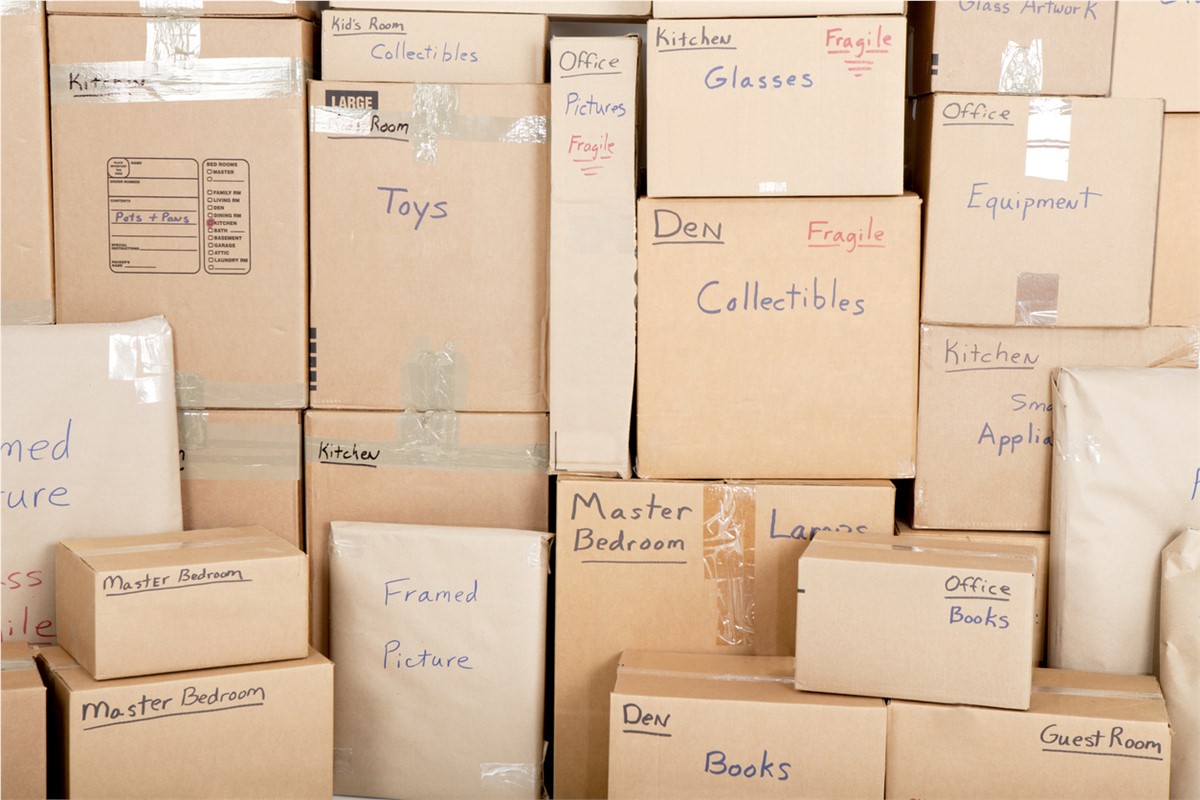 Moving Marvels: Mastering Organization and Labeling for a Seamless Transition