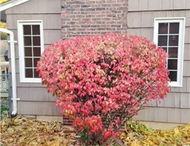 Syracuse Replacement Windows Cicero Photo 2