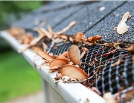 Gutter Guards Photo 3