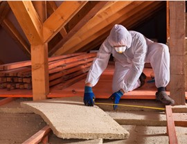 Attic Insulation Photo 4