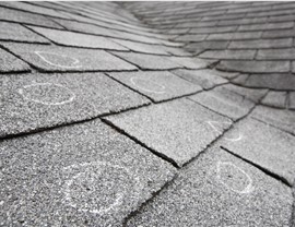 Insurance Claims Photo 2