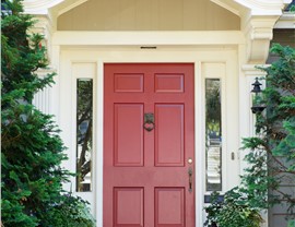 Doors Photo 63