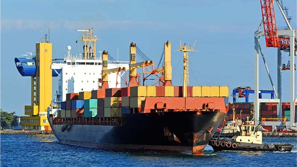 international-movers Photo 1