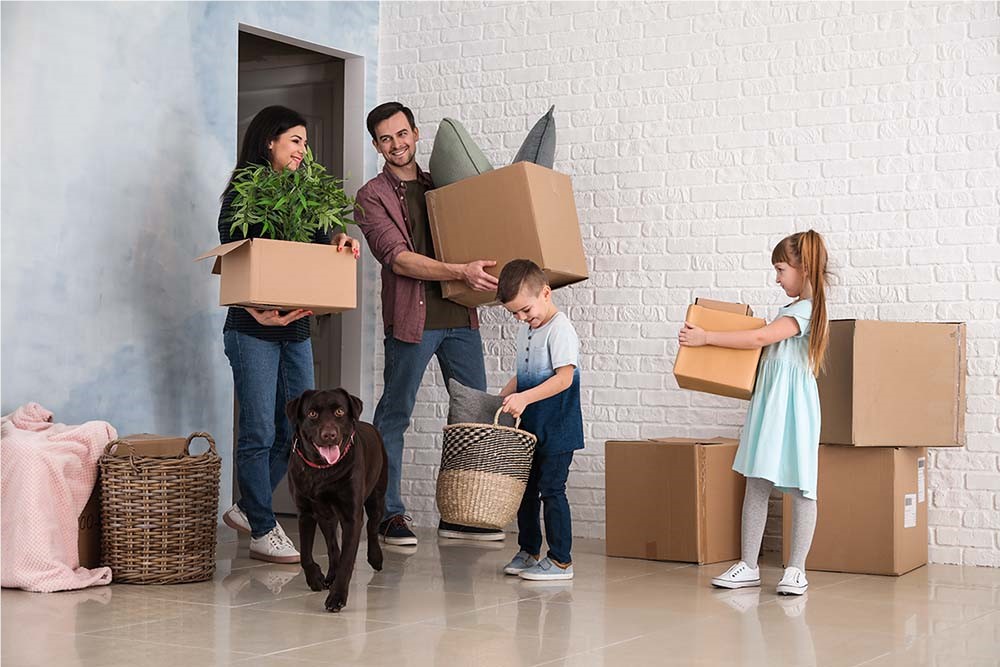 Tips to Help You Relocate with Pets