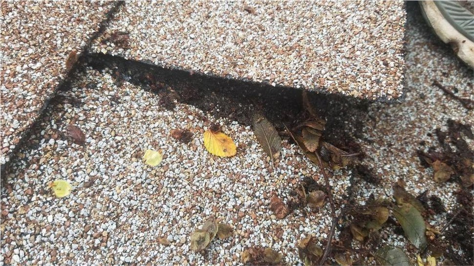 Service Area - Storm Damage Photo 1