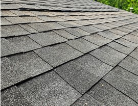 Roofing -  Asphalt Roofing Photo 4