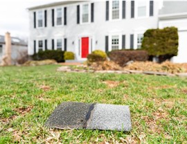 Storm Damage - Wind Damage Photo 3