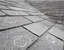 Storm Damage - Hail Damage Photo 3