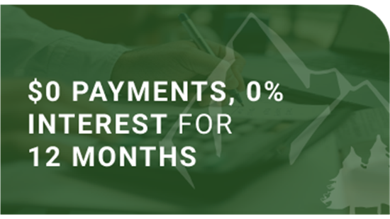 $0 payments, 0% interest for 12 months