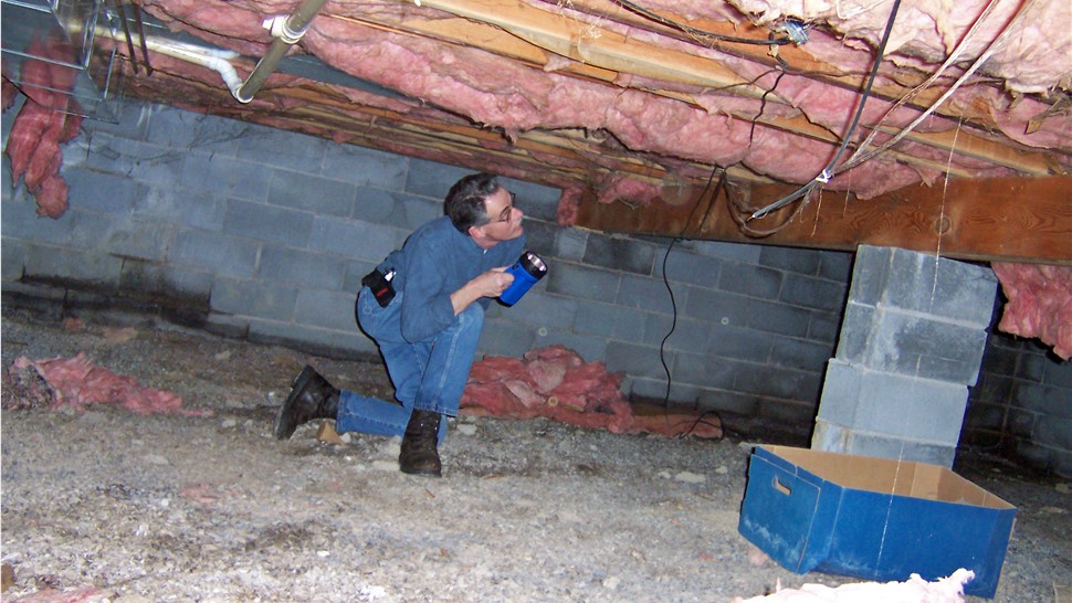 Insulation Photo 5
