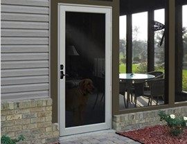 Doors- Storm Doors Photo 2