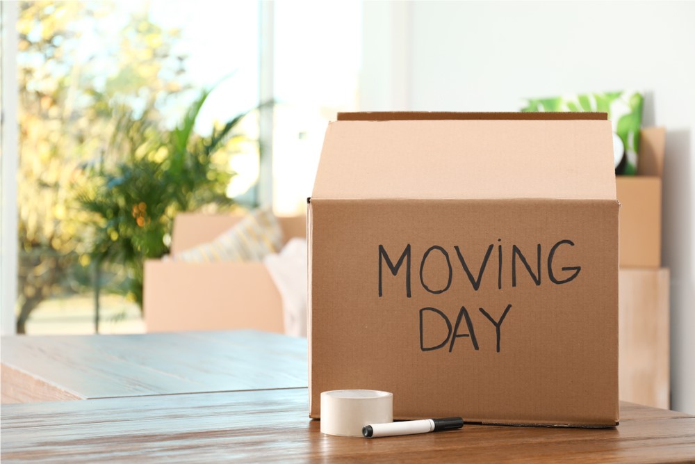 Moving Day Survival Kit: Essentials You'll Need on the Big Day
