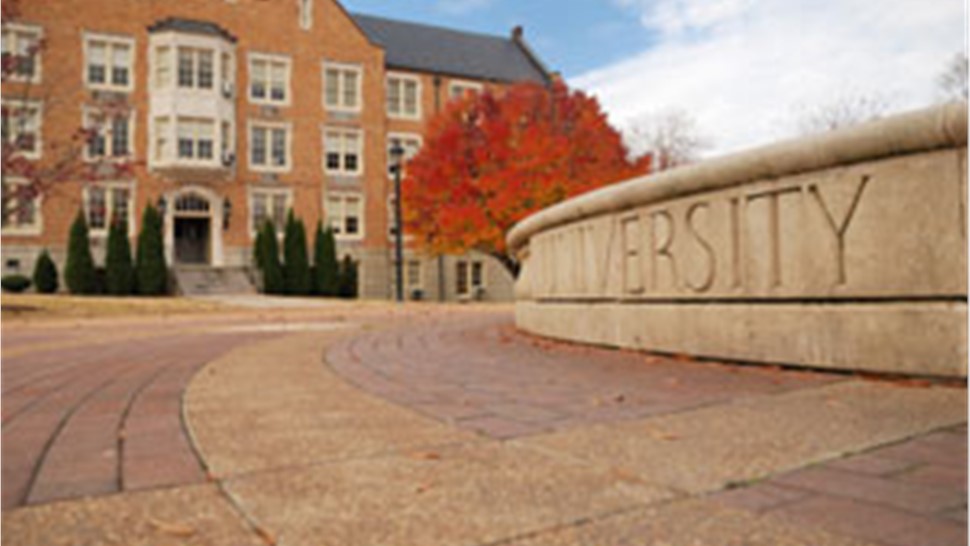 School & University Movers Photo 1