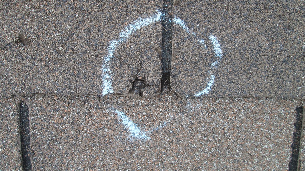 Storm Damage Photo 21